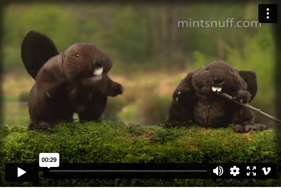 The most-watched YouTube ad ever